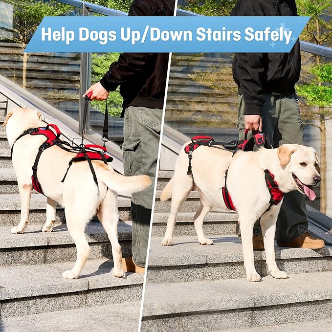 Dog Lift Harness for Large Dogs, Full-Body Support Dog Harness for Stairs & Hind Leg Weakness, Senior Dog Walking Assist, Male Dog-Friendly & Comfortable, Red, L