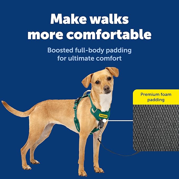 PetSafe Easy Walk Comfort No-Pull Dog Harness Full-Body Padding - Better Walks on the First Use - 5 Points of Adjustment X-Small, Green