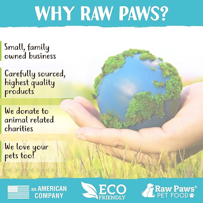 Raw Paws Standard Bully Sticks for Small Dogs, 6-Inch (10-Count) - Low Odor Junior Bully Chews - Free-Range Pizzle Sticks for Dogs - Single Ingredient Dog Chews - Rawhide Alternative - Long Lasting