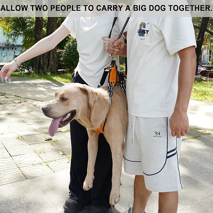COODEO Mobility Dog Lift Harness, Emergency Carry Sling, Pet Rear Leg Support Rehabilitation Lifts Vest, Dog Carrier for Senior Dogs Joint Injuries, Arthritis (Orange, L)