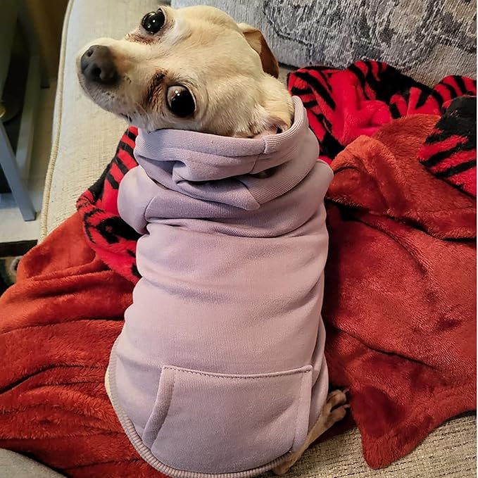 Jecikelon Winter Dog Hoodie Sweatshirts with Pockets Warm Dog Clothes for Small Dogs Chihuahua Coat Clothing Puppy Cat Custume (Purple, Large)