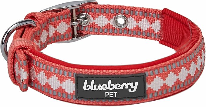 Blueberry Pet Reflective Jacquard Dog Collar with Neoprene Padding & Metal Buckle | Soft & Adjustable Safety Collar - Coral, Neck 9-12.5", for Small Breed
