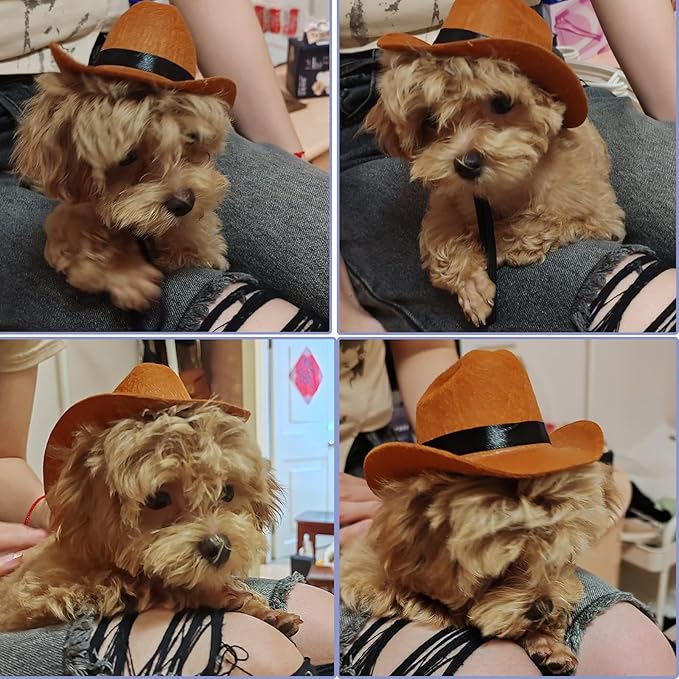 Pet Cowboy Hat with Bandana – Adjustable Western Costume for Dogs, Soft Breathable Fabric, Perfect for Halloween, Photo Shoots & Parties (Small/Medium)