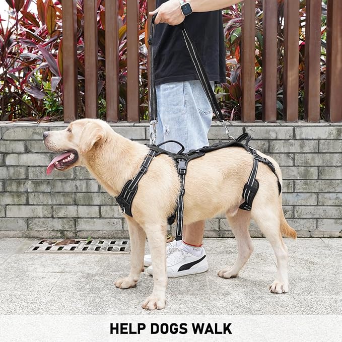 COODEO Mobility Dog Lift Harness, Support Sling & Walking Sling for Dogs, Pet Rear Leg Rehabilitation Support Vest, Dog Carrier for Senior Dogs with Joint Injuries, Arthritis, Up Stair (Black, S)