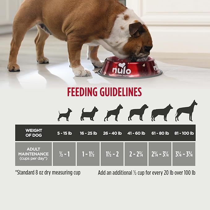 Nulo Frontrunner Dry Dog Food - Adult High-Protein Chicken, Oats & Turkey Recipe, Natural Kibble with Ancient Grains, Probiotics, Taurine, Omega 3 for Small, Medium and Large Breeds, 5lb Bag