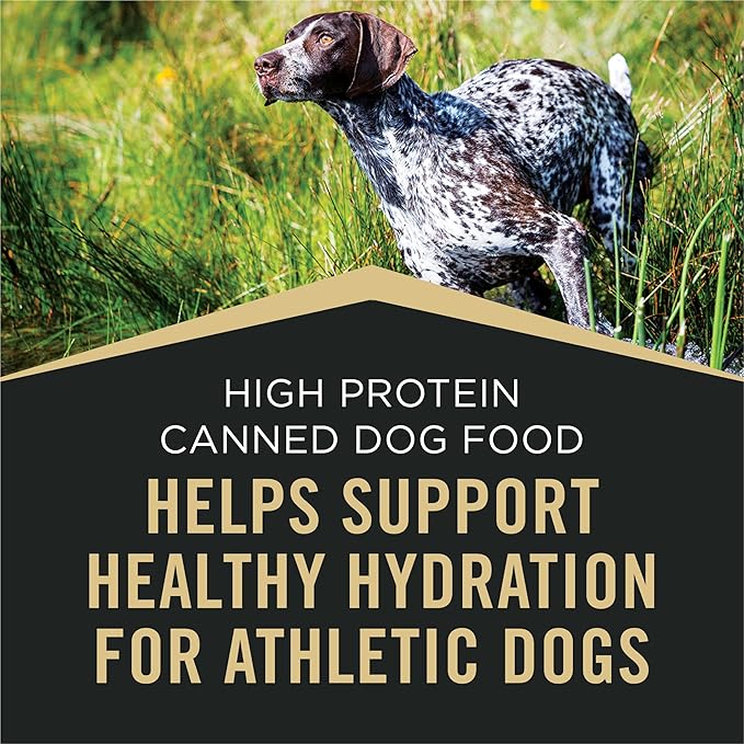 Purina Pro Plan Sport High Protein Wet Dog Food With Salmon and Cod - (Pack of 12) 13 oz. Cans