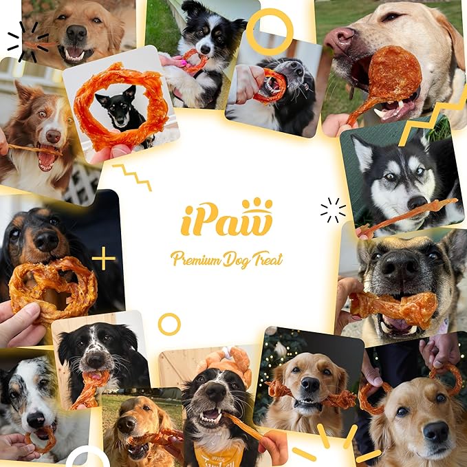 iPaw Turkey Tendons for Dogs 20 Pcs Bulk Pack, 100% Turkey and US Sourced Raw Material, Hypoallergenic, All Natural Human Grade Puppy Chew, Rawhide Alternative Dog Treats, Ring (Medium)