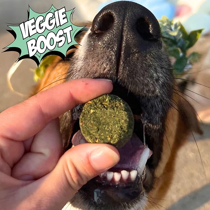 Chippin Healthy Dog Treats, All Natural Crunchy Biscuits with Spirulina, Kale, Oats, Low Calorie, No Meat, Hypoallergenic, Vegan Treats for Puppy, Small, Large Dogs, 2 Pack
