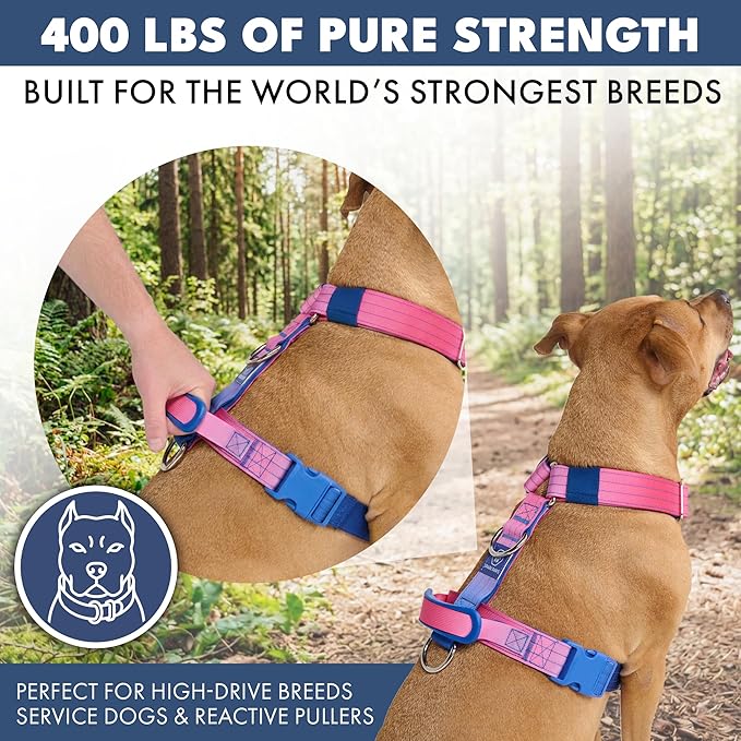 Spark Paws No Pull Dog Harness with Handle for Large Dogs, Heavy Duty Dog Harness for Big Strong Breeds, Adjustable, Y Shaped Padded Halter Design with Front Clip- Snow Cone - S
