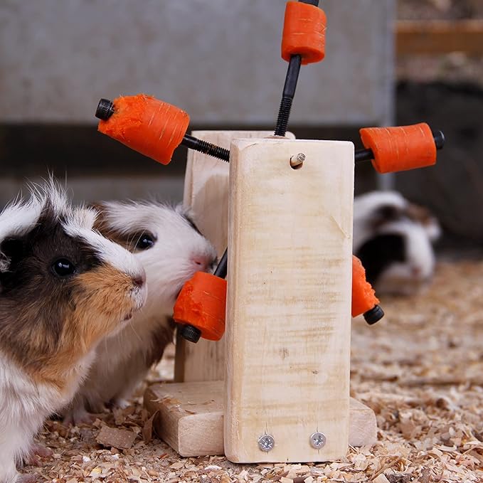Rotating Feeding Toy for Guinea Pigs, Rabbits, Hamsters, Chinchillas, Rats, Foraging Food Holder Wheel, Guinea Pig Cage Accessories, Cavy treats, Toy for small animals