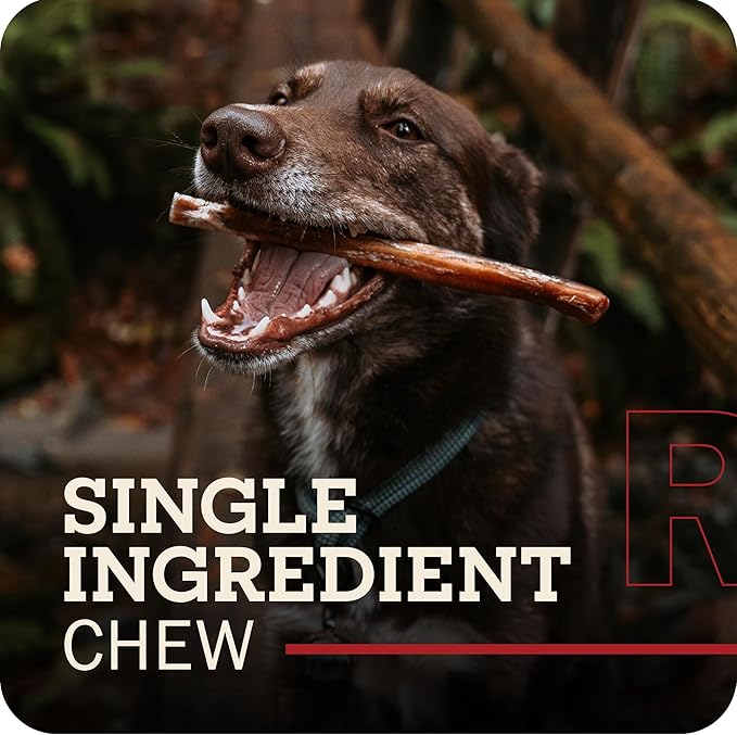 Redbarn Pet Products All Natural 8"-12" Bully Sticks for Medium/Large Dogs - Healthy Long Lasting Chews Variety Party Pack - 100% Beef Single Ingredient Low Odor Rawhide Free - 1lb