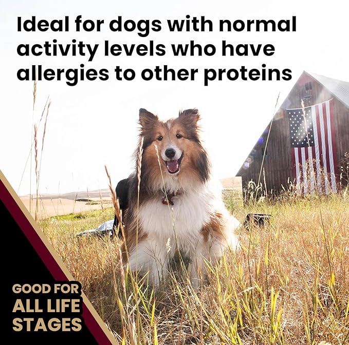 VICTOR Super Premium Dog Food – Lamb Meal & Brown Rice Formula - Gluten-Free Dry Dog Food for All Normally Active Dogs of All Life Stages – Ideal for Dogs with Meat Protein Allergies, 40 lb