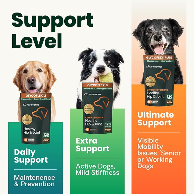 VetriScience Healthy Hip & Joint Chews, GlycoFlex Glucosamine and Green-Lipped Mussel Joint Support Supplement for Dogs, Promote Mobility and Protect Joints, Chicken, 120 Count (Pack of 2)