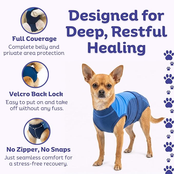 Surgi Snuggly Dog Surgery Recovery Suit - Dog Onesie for Post Surgery Recovery, Female Spay & Male Neuter, Surgical Suit for Dogs, E-Collar Cone Alternative, Double Blue - Extra Small - 10"-11.5" (EC)