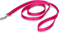 PetSafe Nylon Leash - Helps Maintain Secure Connection on Walks - Durable Pet Leash with Easy Clip - 3/4 in. x 6 ft. - Raspberry
