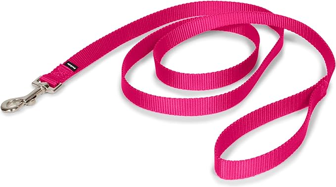 PetSafe Nylon Leash - Helps Maintain Secure Connection on Walks - Durable Pet Leash with Easy Clip - 3/4 in. x 6 ft. - Raspberry