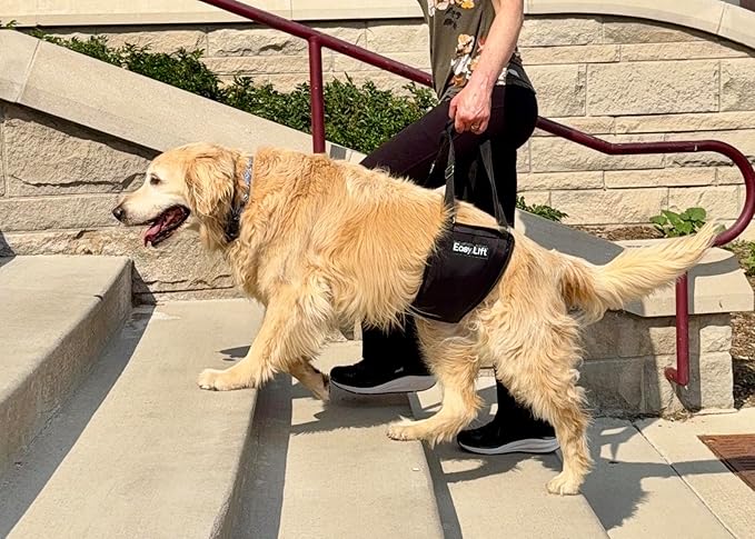 Easy Lift Dog Support Sling, Rear Hind Leg Harness for Injured & Senior Dogs, or Surgery Recovery & Rehabilitation, Padded for Comfort, Ergonomic Design, Machine Wash & Dry (Large/Extra Large)