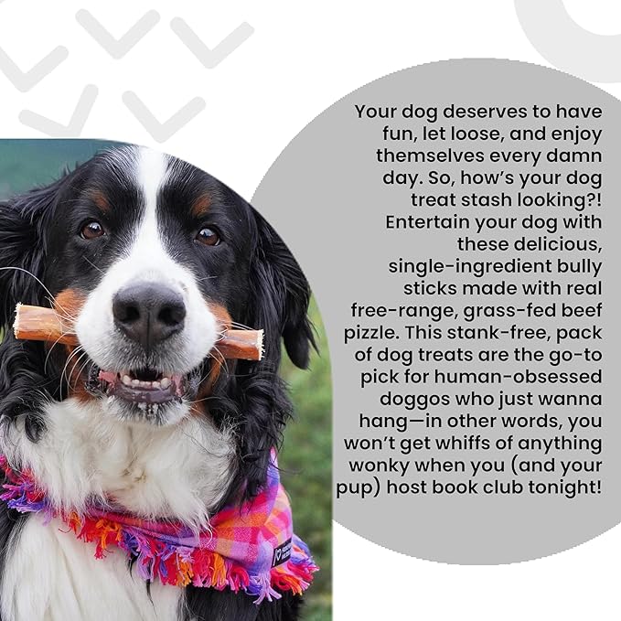 I and love and you No Stink Free Ranger Bully Stix - Beef - Rawhide Alternative, Single Ingredient, Free Range Grass Fed Beef, 12in, 5ct