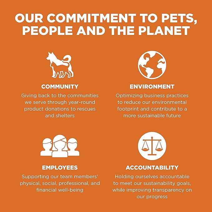 Go! Solutions Skin + Coat Care Salmon Dry Dog Food with Grains, Chicken-Free, Healthy Kibble with Omega-3s & 6s for Soft, Shiny Fur, for Puppies, Adults, & Seniors, 3.5 lb Bag