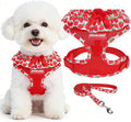 EXPAWLORER Cute Dog Harness Collar Leash Set - Red Girl Dog Harness Checkered Step-in Design, Adjustable No-Choke Lightweight Mesh Vest for Cats Puppy Small Dogs, Strawberry XS