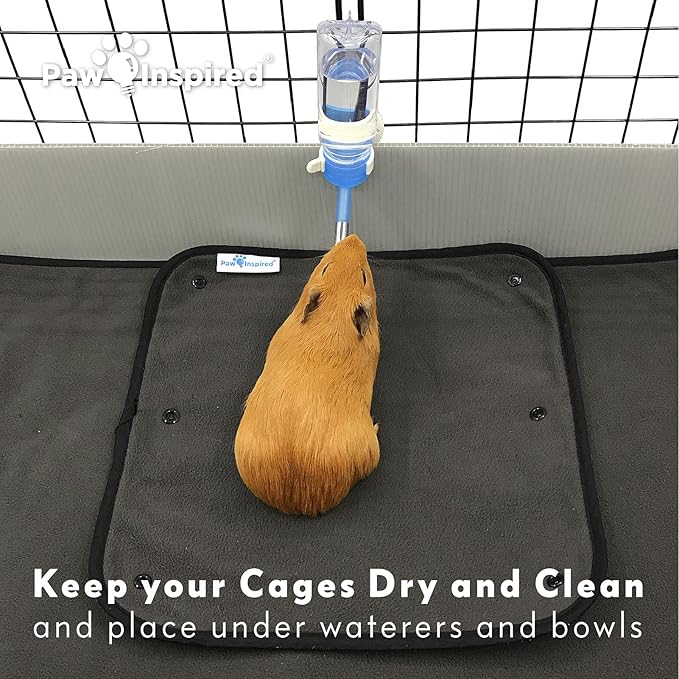 Paw Inspired Washable Guinea Pig Cage Liners, Fleece Bedding for Guinea Pigs Ferrets, Rabbits, Hamsters, Small Animals, Bamboo Charcoal Odor Controlling Absorbent Pee Pads (2 ct., 12" x 12")