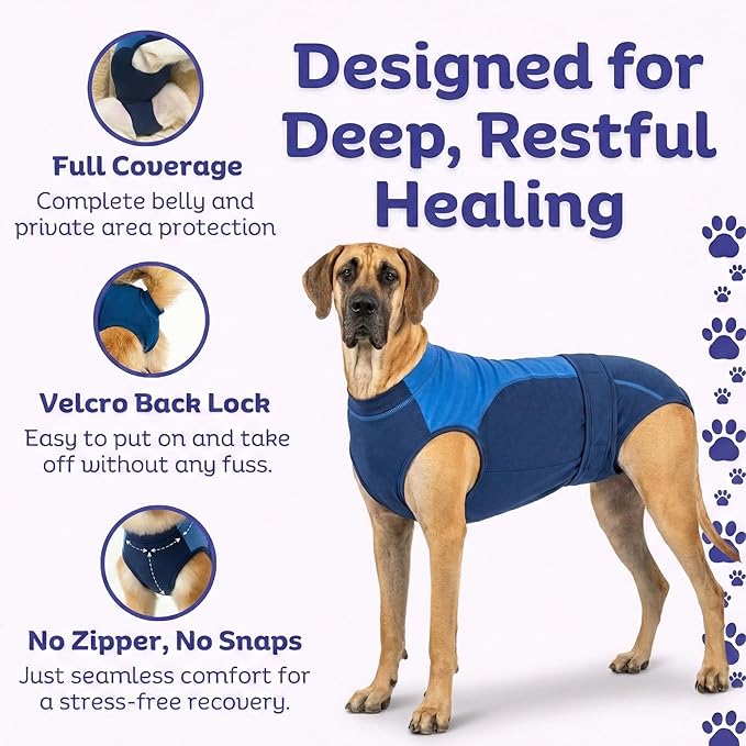 Surgi Snuggly Dog Surgery Recovery Suit - Dog Onesie for Post Surgery Recovery, Female Spay & Male Neuter - Surgical Suit for Dogs, E-Collar Cone Alternative, Double Blue - 2X-Large - 31" - 35" (EC)