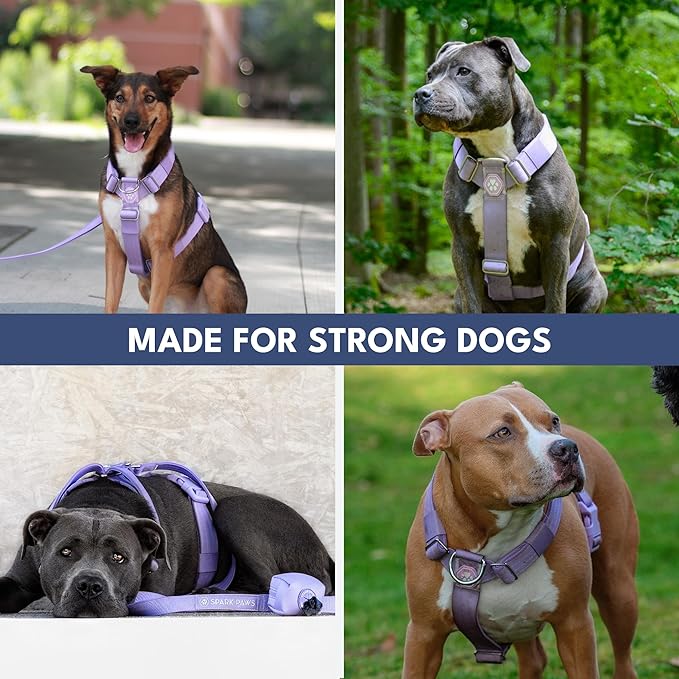 Spark Paws No Pull Dog Harness for Large Dogs, Heavy Duty Dog Harness for Big Strong Breeds, Adjustable, Y Shaped Padded Halter Design with Front Clip - Purple - Large