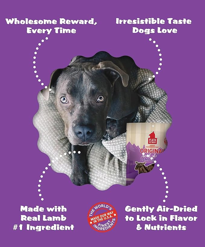 PLATO Pet Treats Real Strips Dog Treats – Lamb – Air-Dried High Protein Dog Treats – Limited Ingredient, Nutrient Dense, No Artificial Flavours– Made in USA – 6 oz