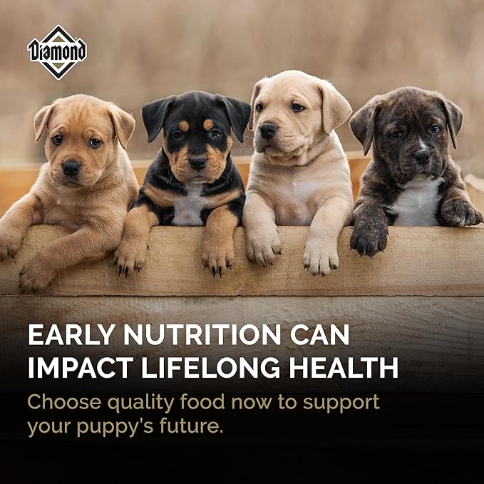 Diamond Puppy Dry Dog Food 31/20 for All Life Stages Including Puppies and Pregnant and Nursing Adult Dogs 40lb Bag