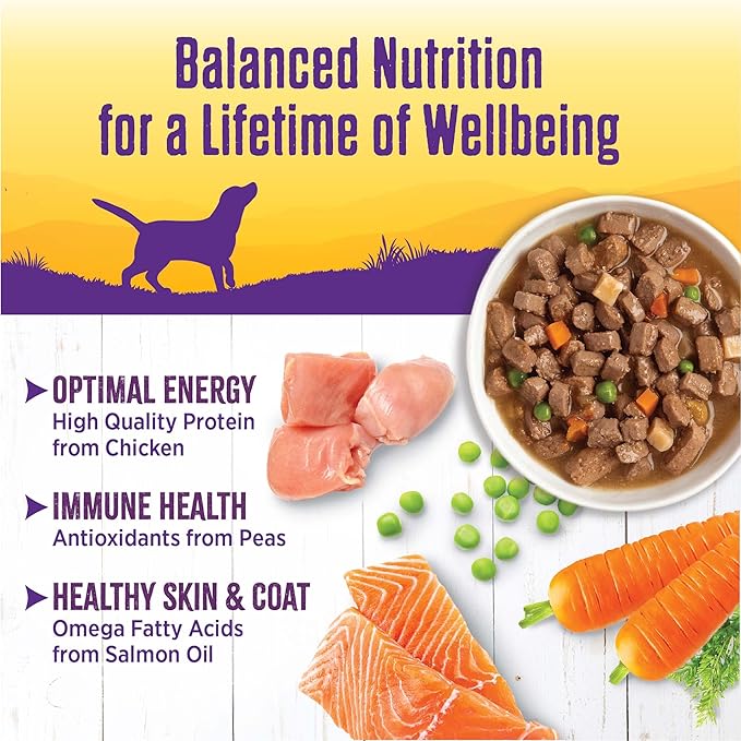 Wellness Complete Health Grain Free Canned Wet Dog Food, Chicken Stew, 12.5-Ounce Can (Pack of 12)