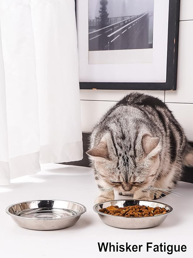 VENTION Big Shallow Cat Food Bowls, Outer Dia. 10.6 in Whisker Fatigue Cat Bowl, Stainless Steel Cat Food Dish for Indoor Cats, Set of 2 Replacement Cat Bowls for Raised Station(60.9 Fl.oz)