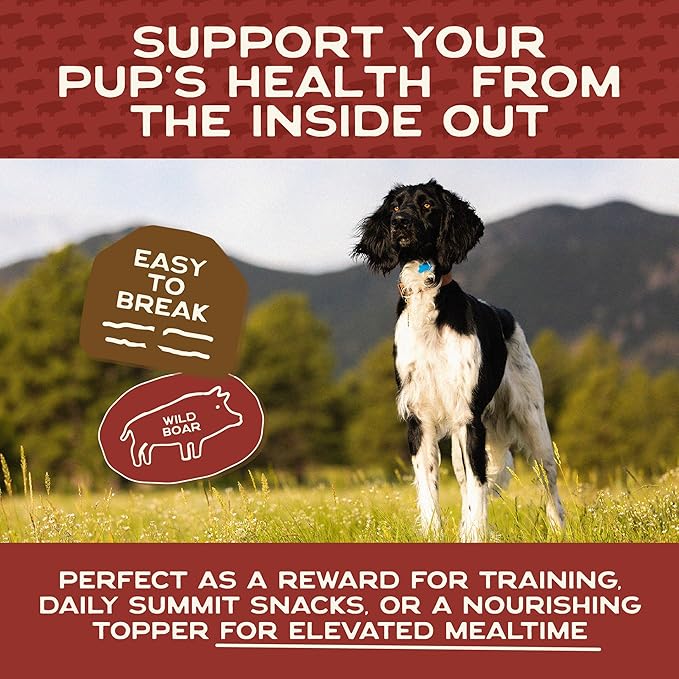 Smart Cookie 100% Wild Boar Jerky Dog Treats - Single Ingredient Hypoallergenic Training Treat Strips for Dogs and Puppies with Sensitive Stomachs - 100% Boar Meat, Grain Free, Made in USA - 3oz