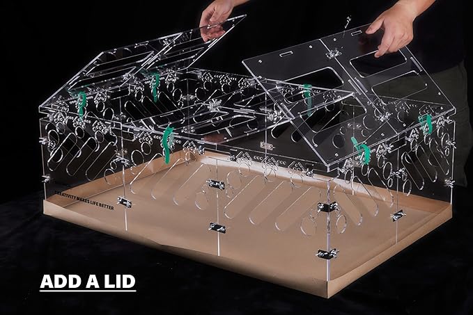 Acrylic Guinea Pig Cages - 3x2ft Small Animal Cage | DIY Extendable | Easy-to-Clean Disposable Bottom (Without Lid)