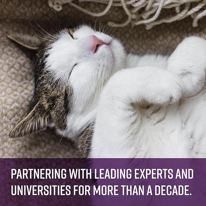Sentry Calming Collar for Cats, Long-Lasting Pheromone Collar Helps Calm Cats for 30 Days, Reduces Stress, Anxiety, Loud Noises and Separation, 1 Count