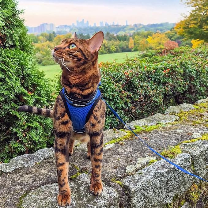 rabbitgoo Cat Harness and Leash Set for Walking Escape Proof, Adjustable Soft Kittens Vest with Reflective Strip for Cats, Comfortable Outdoor Vest, Blue, S