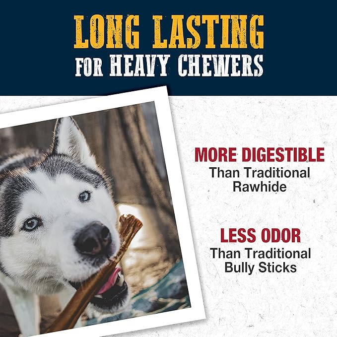 Cadet Bully Hide Sticks for Large Dogs, All-Natural Beef Pizzle, Limited-Ingredient Long-Lasting Dog Chews for Aggressive Chewers, 1 Count (Pack of 2)