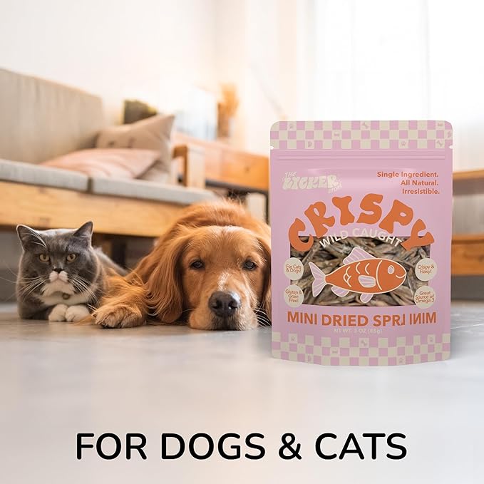 DTS5001A-3OZ Air Dried Natural Baltic Sprats Crunchy Treats for Dogs & Cats, High Protein Omega-3 Fish Snacks, Single Ingredient Gluten & Grain Free, Healthy Training Treats, 3oz Bag
