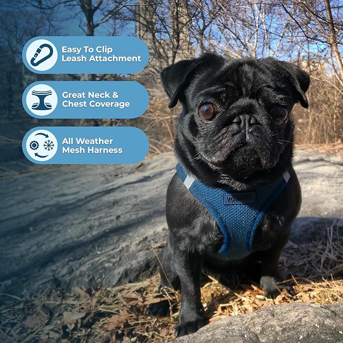 Best Pet Supplies Voyager Step-in Air Harness - All Weather Mesh, Reflective, No Pull Harness for Dogs, Cats - Secure with Hook & Loop Fastener, Buckle, Double D-Rings - Blue, XXS