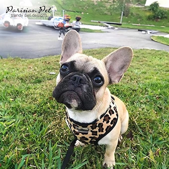 Parisian Pet Leopard Dog Harness - Breathable Mesh No Pull Puppy Harness with Leash Ring - Adjustable Harnesses for Dogs - Soft Padded Step-in Pet Vest - Lightweight Dog Vests for Medium Sized Dogs