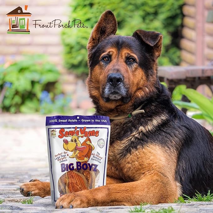 Sams Yams Sweet Potato Dog Treats, Healthy Dog Treats for Large Dogs - Sweet Potato Dog Treats Made in USA, High Fiber, Vegan Dental Chews - Big Boyz, Sweet Potato Dog Chewz, 15oz (Pack of 3)