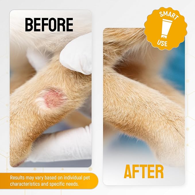 Cat Wound Care Gel for Scratches, Bites & Irritations – Hot Spot Treatment for Cats & Kittens – Honey Wound Repair Ointment in Gel Form with Colloidal Silver & Manuka Honey for Topical Use – 2 Oz Tube