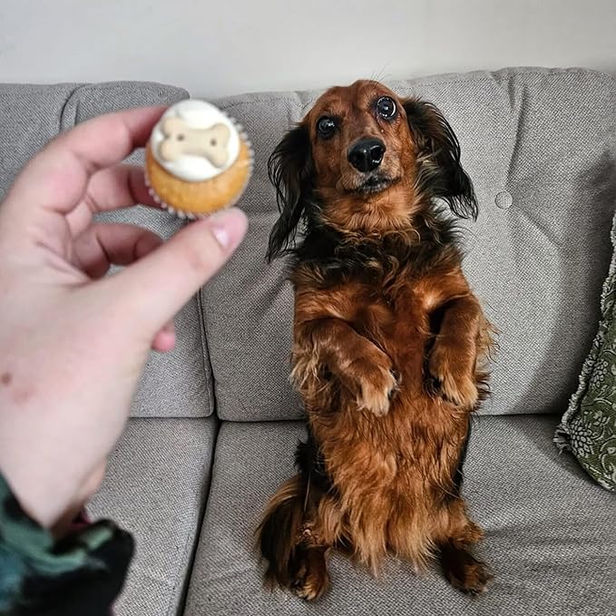 Puppin Mini Cupcake Dog Treat - 6 Pack, Quality Baked Goods for Your Furry Friends, Natural, Soft Cake, Pet Reward, Party Snack