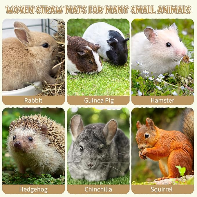 Riakrum 40 Pcs Grass mats for Rabbits Bunny Grass Mat Woven Straw Mat Bed Rabbit Sleeping Mat Natural Chew Toy Bed for Parrot Chinchilla Squirrel Hamster Cat Dog Small Animal