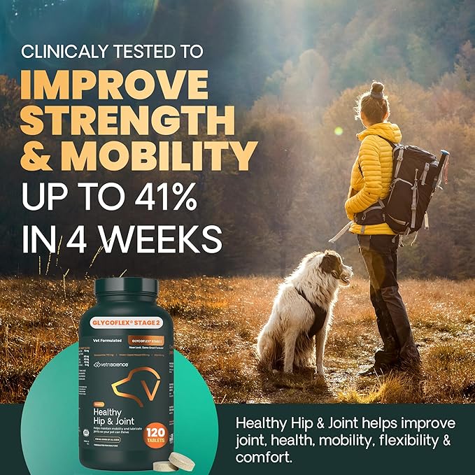 VETRISCIENCE Glyco Flex® 2 Hip and Joint Supplement for Dogs, Chewable Tablets (2 pack)