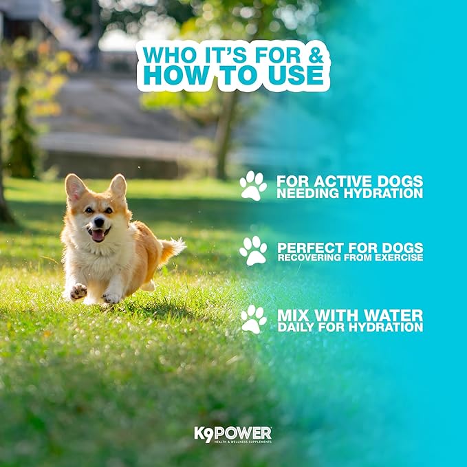 K9Power Go Dog – Hydration & Electrolyte Supplement for Dogs – Boost Stamina, Recovery, Muscle Function & Energy – Beta-Alanine, Creatine, BCAAs, Agave, Green Tea Extract, Electrolytes