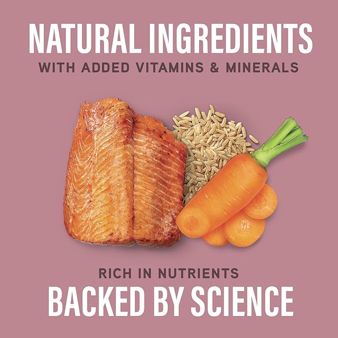 Natural Balance Specialized Nutrition Wet Dog Food, Sensitive Skin & Stomach Formula with Salmon and Brown Rice for Dogs, Natural Ingredients with Added Vitamins & Minerals - 12.7 oz. (Case of 12)