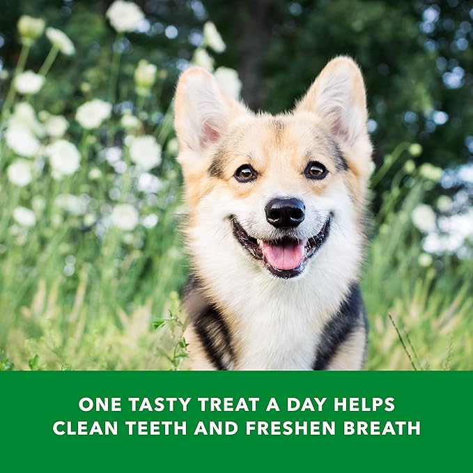 Amazon Basics Dental Dog Treats to Help Clean Teeth & Freshen Breath for Tiny Dogs, Unflavored, Per Pack: 130 Count, 2.25 pounds (Previously Wag)