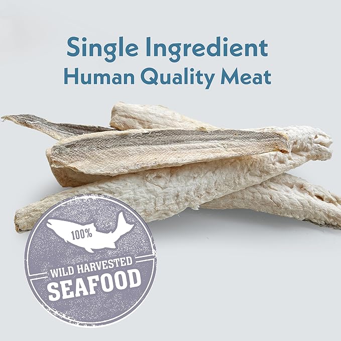 Fresh Is Best Freeze Dried Dog Treats – Raw Freeze Dried Fish for Cats & Canines in Resealable Zipper Bag – High-Protein One Ingredient Dog Treats – Pacific Whiting Fillets – Made in The USA