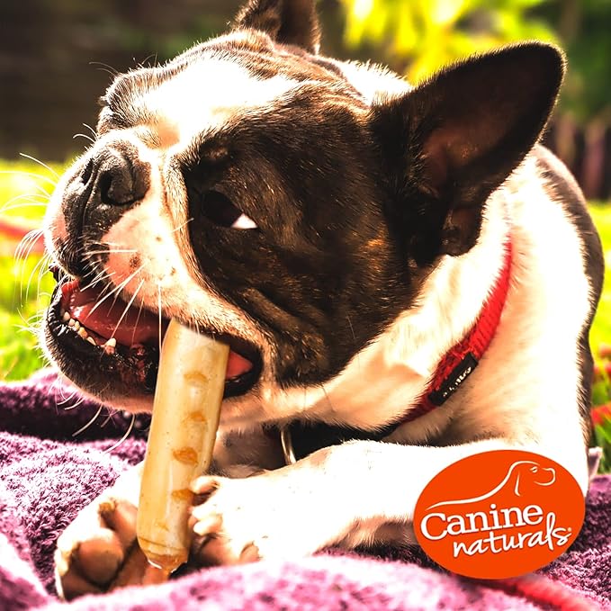 Canine Naturals Chicken Recipe Chew - Rawhide Free Dog Treats - Made from USA Raised Chicken - All-Natural and Easily Digestible - Mini (6 Count) for Dogs Under 20 lb