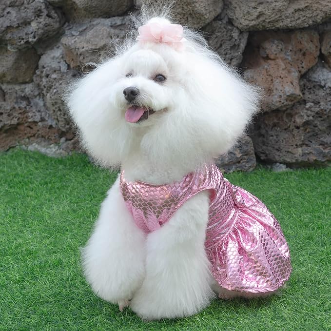 CuteBone Dog Dress Mermaid Girl Puppy Bling Skirt Cat Outfit Small Dogs Costume Pet Clothes for Holiday Beach DD11S
